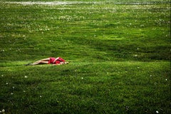 Field of Dreams by David Drebin, Limited Edition Fine Art Photograph Framed