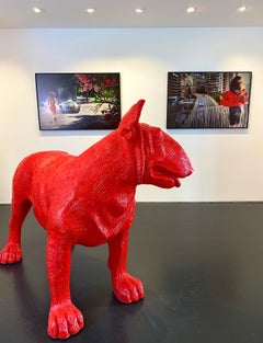 Flasher in Monte Carlo.