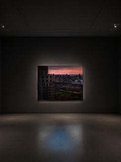 Ragazza a Central Park, Lightbox di David Drebin