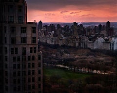 Ragazza a Central Park, Lightbox di David Drebin