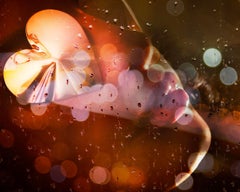 Hidden Sparkle by David Drebin