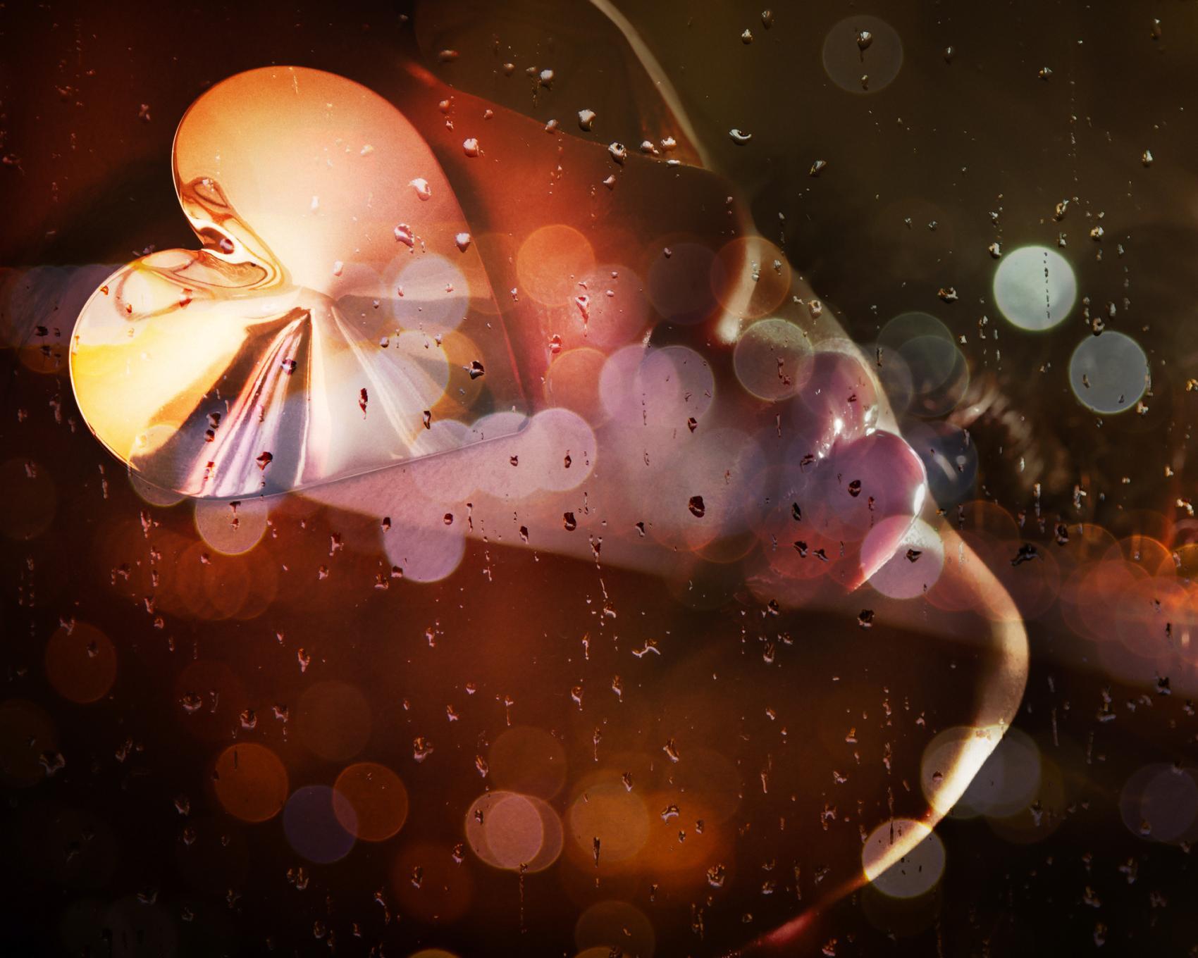 Hidden Sparkle (Diamond Dust) by David Drebin, 2024 - Contemporary Photography