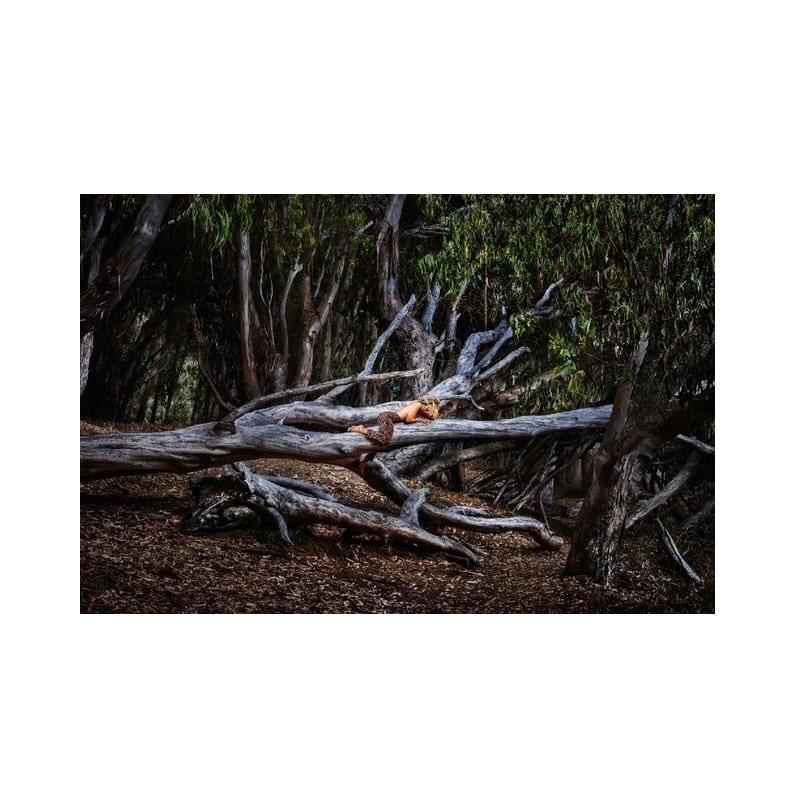 David Drebin - Épreuve chromogénique à tirage limité (montée et encadrée)

Tailles disponibles :

30 x 45 pouces (75 x 110 cm) - Edition de 10 exemplaires

48 x 72 pouces (120 x 180 cm) - Edition de 7 exemplaires

Découvrez l
éclat cinématographique