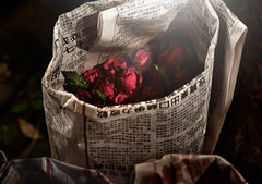 Last Chance, Lightbox di David Drebin
