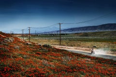 La carretera mágica