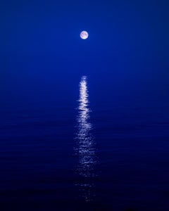 Moonbeam