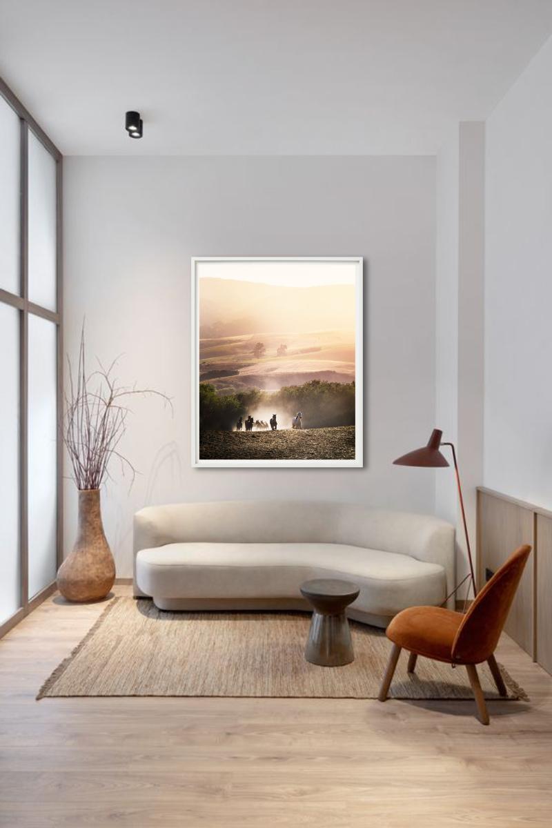 Gloire du matin - Chevaux courant dans le soleil matinal, photographie d'art, 2014. - Photograph de David Drebin