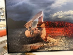 Private Mission, David Drebin