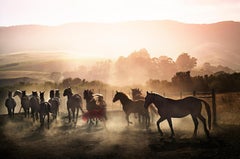 Running Wild, 2014 - Limited Edition Fine Art Photography
