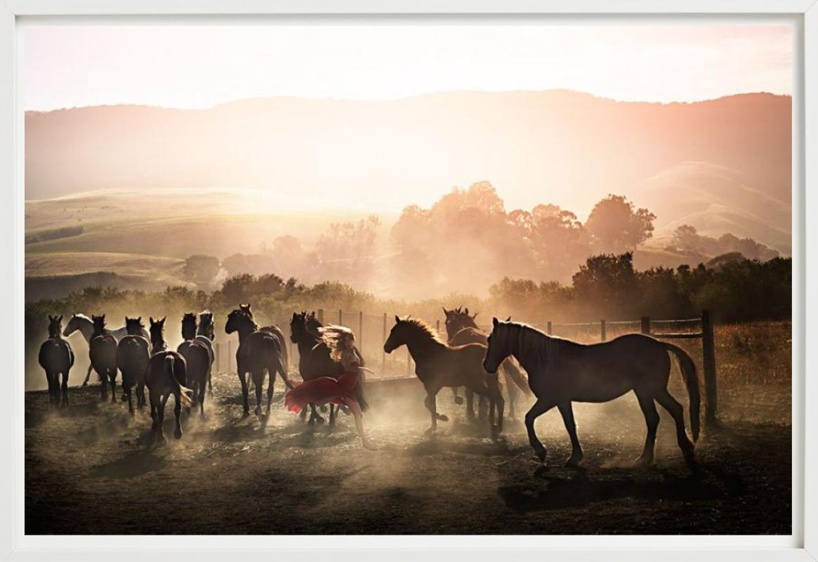 Femme en robe rouge courant entre les chevaux, éclairée par le lever du soleil, photographiée par David Drebin en 2014.

Tous les tirages sont en édition limitée. Disponible en plusieurs tailles. Encadrement haut de gamme sur demande.

Toutes les