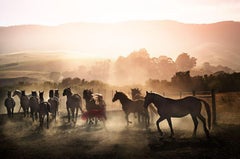 Running Wild - Woman in Red Running Between Horses, Fine Art Photography, 2014