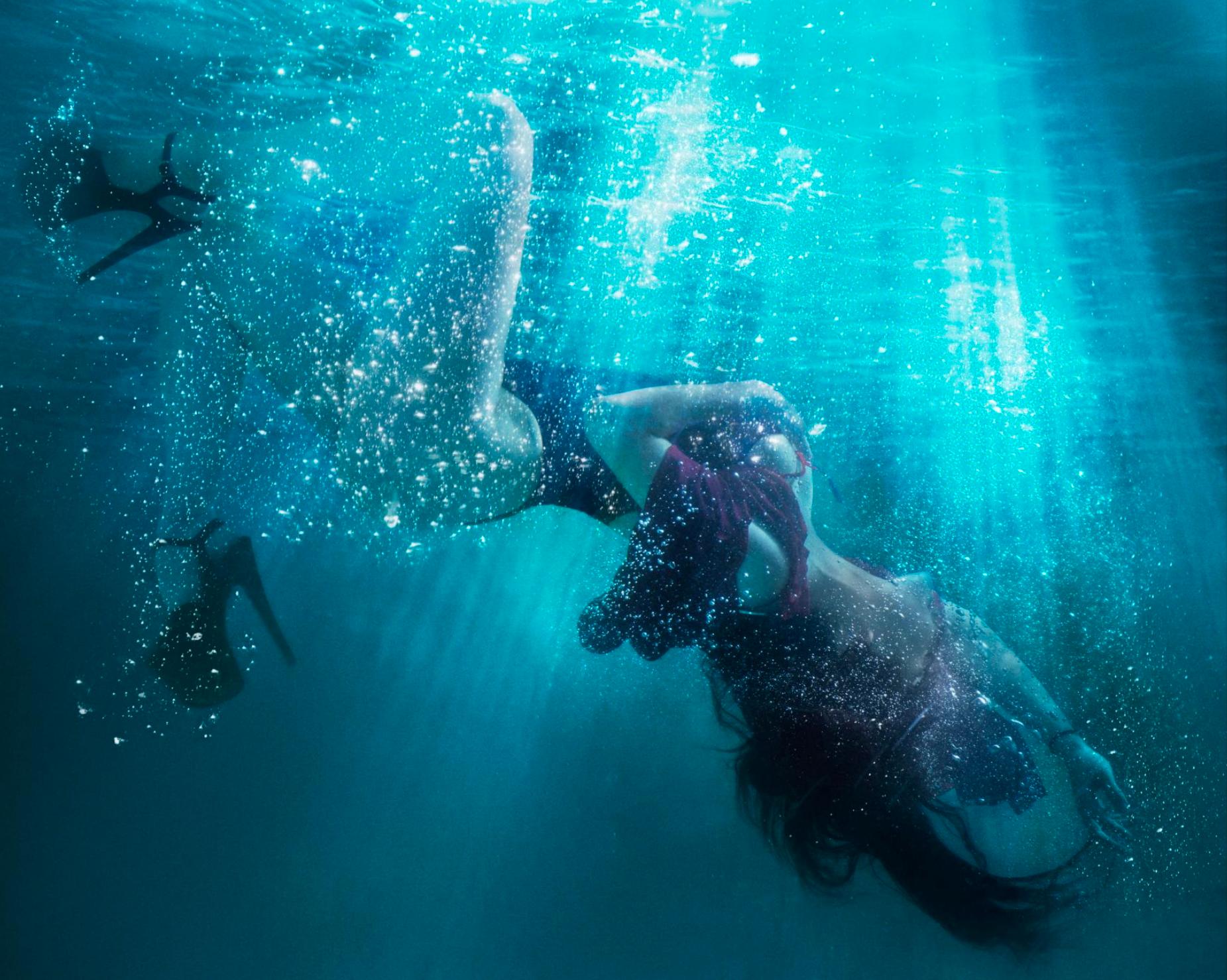 Showstopper by David Drebin, 2026 - Contemporary Underwater Photography