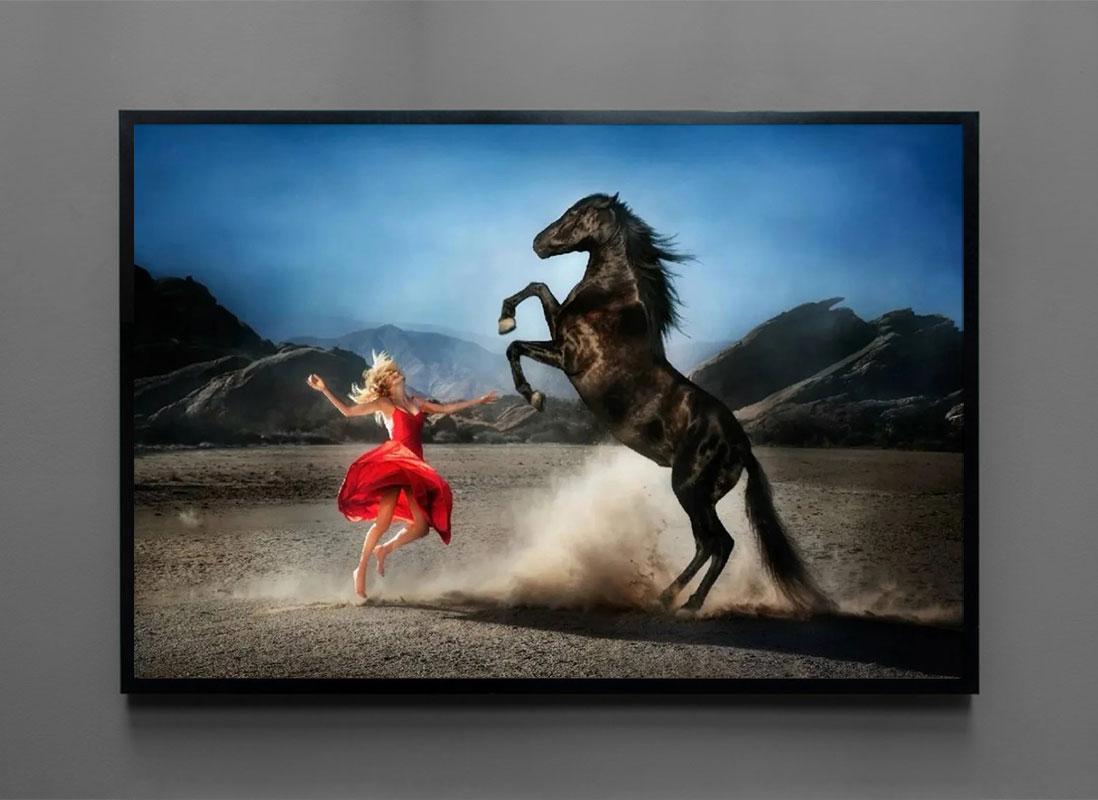 Wild at heart par David Drebin, Photographie d'art en édition limitée encadrée en vente 1