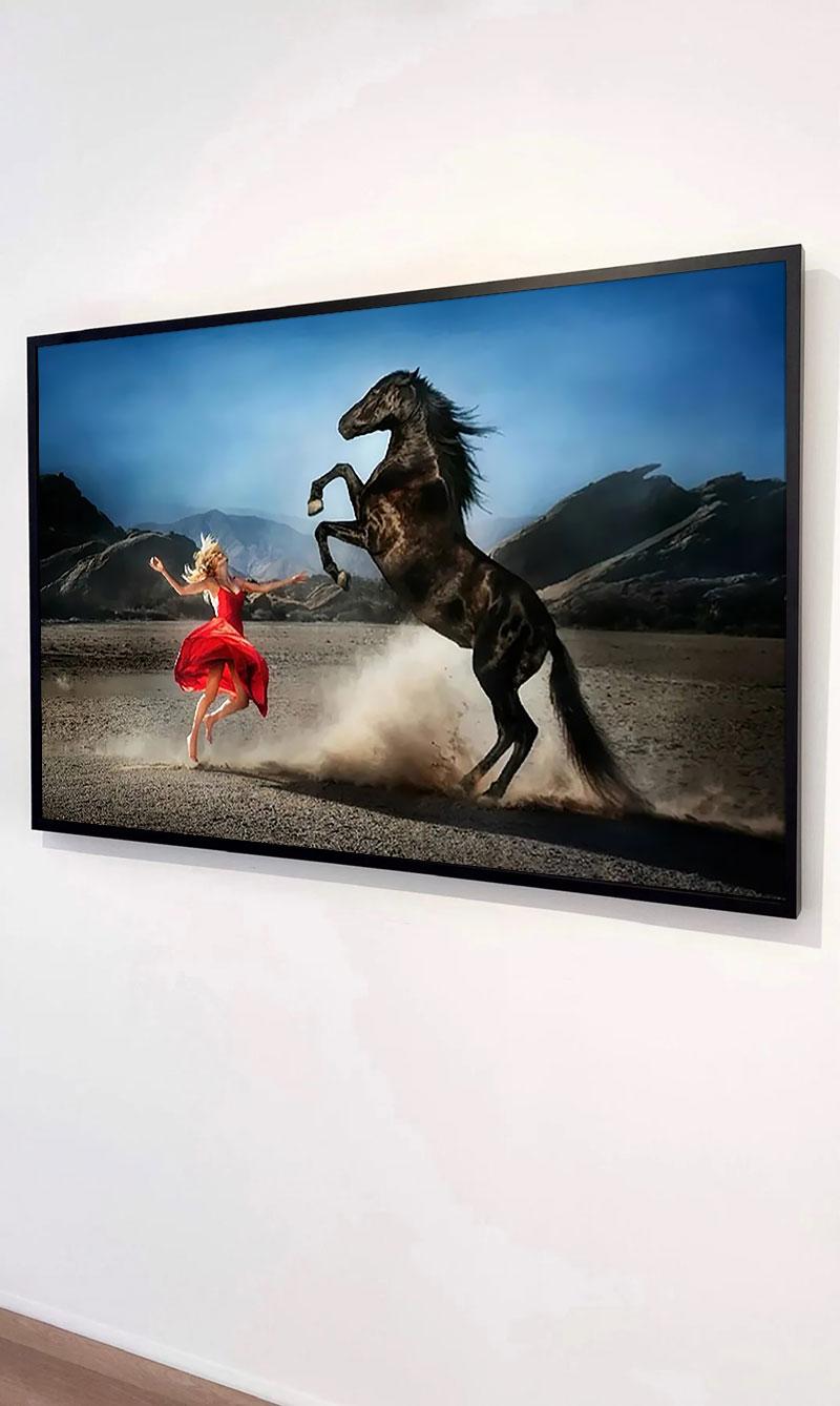 Wild at heart par David Drebin, Photographie d'art en édition limitée encadrée en vente 3