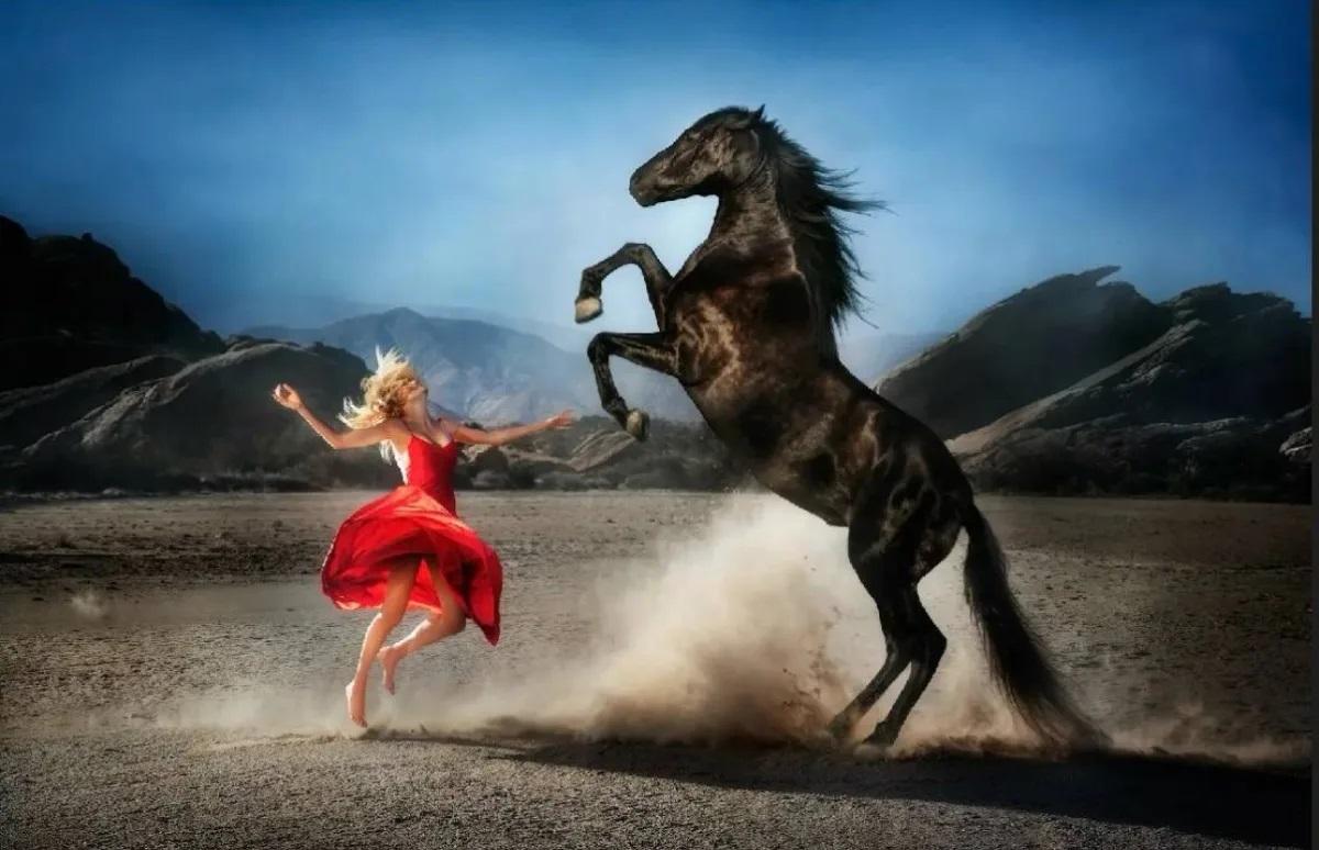 Wild at heart by David Drebin, Limited Edition Fine Art Photograph Framed