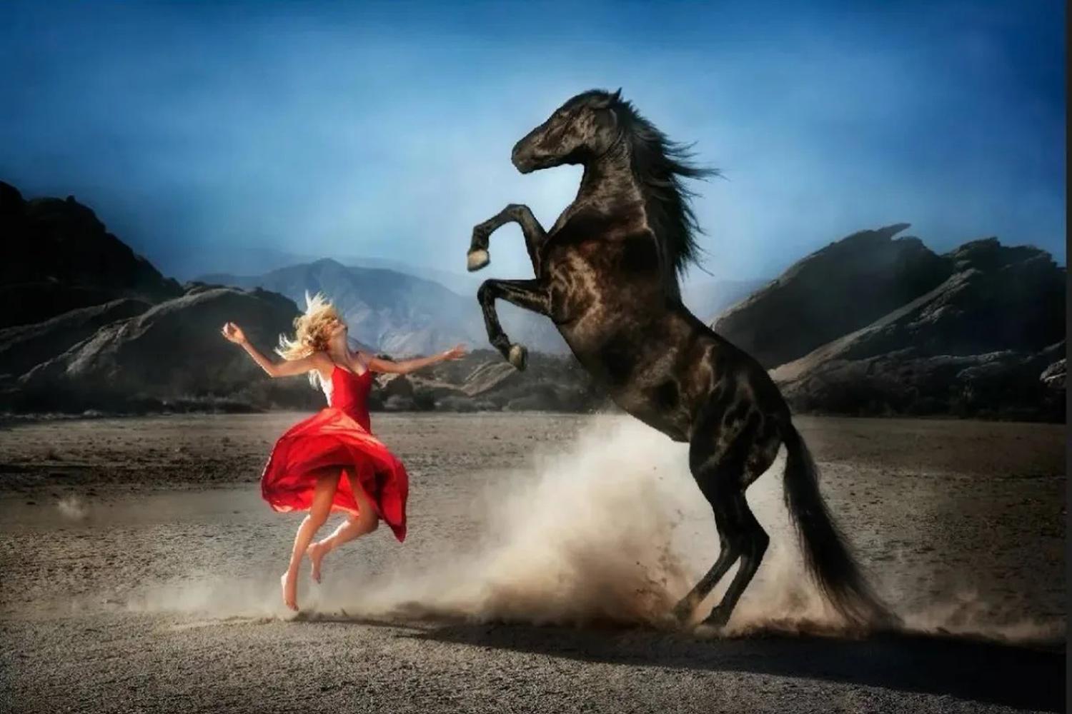 Portrait Photograph di David Drebin - Cuore selvaggio