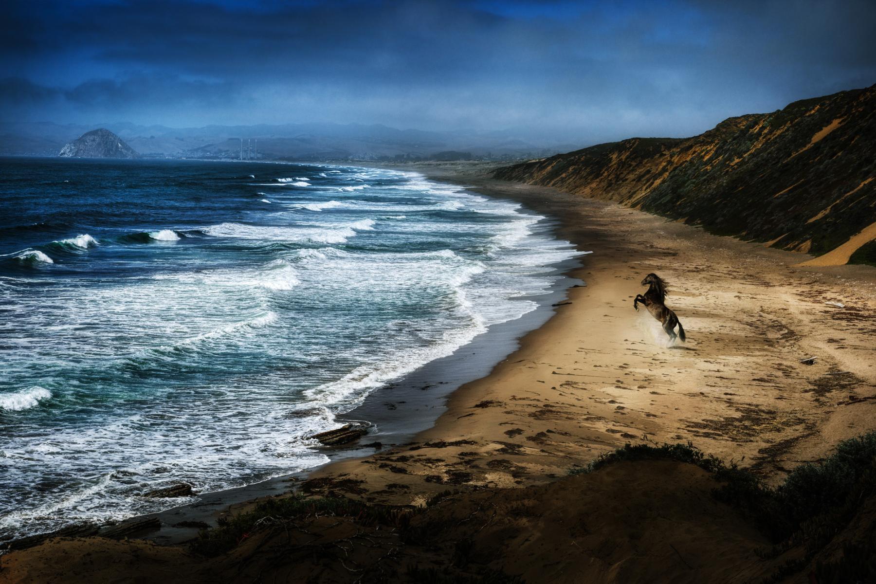 Wild Spirit, 2025 - Limited Edition Fine Art Photography