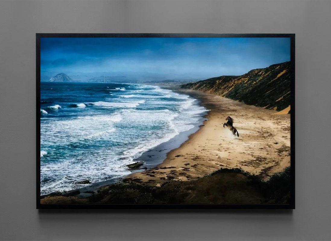 Wild Spirit par David Drebin, photographie d'art à tirage limité encadrée en vente 1