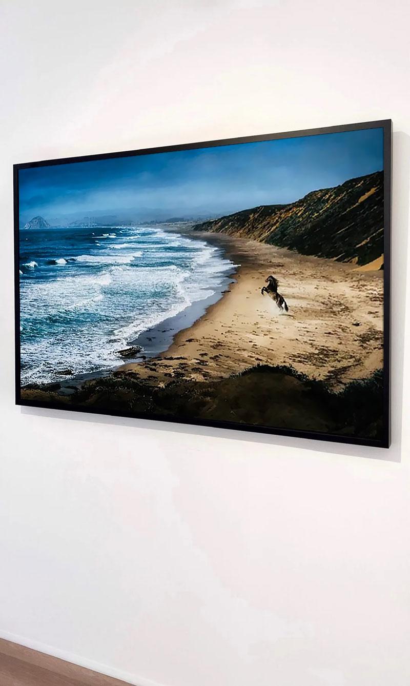 Wild Spirit par David Drebin, photographie d'art à tirage limité encadrée en vente 2