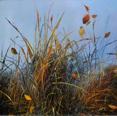 Notes sur un étang de novembre