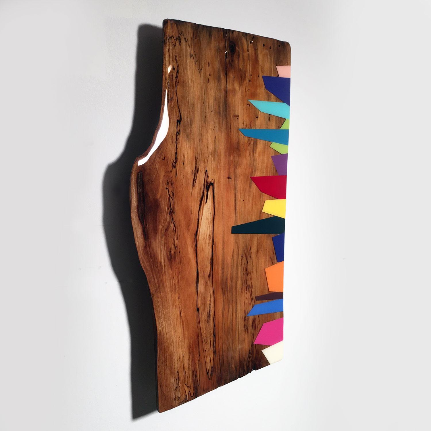 Mini Leaner #8, Contemporary Painted Rainbow Wall Sculpture, Shiny Exotic Wood - Brown Abstract Sculpture by David E. Peterson