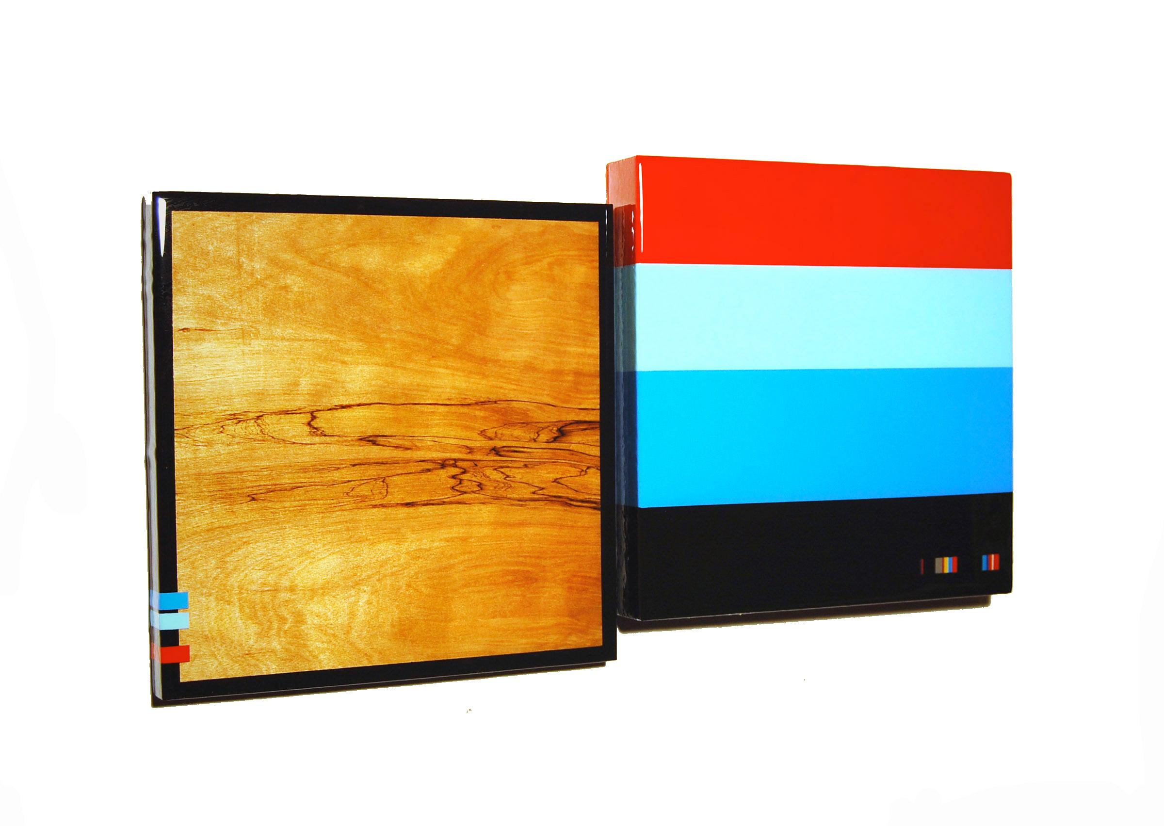 Puzzle 82, David E. Peterson, sculpture murale contemporaine colorée en bois