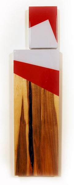 Puzzle 97, David E. Peterson, Escultura contemporánea de pared de madera de colores