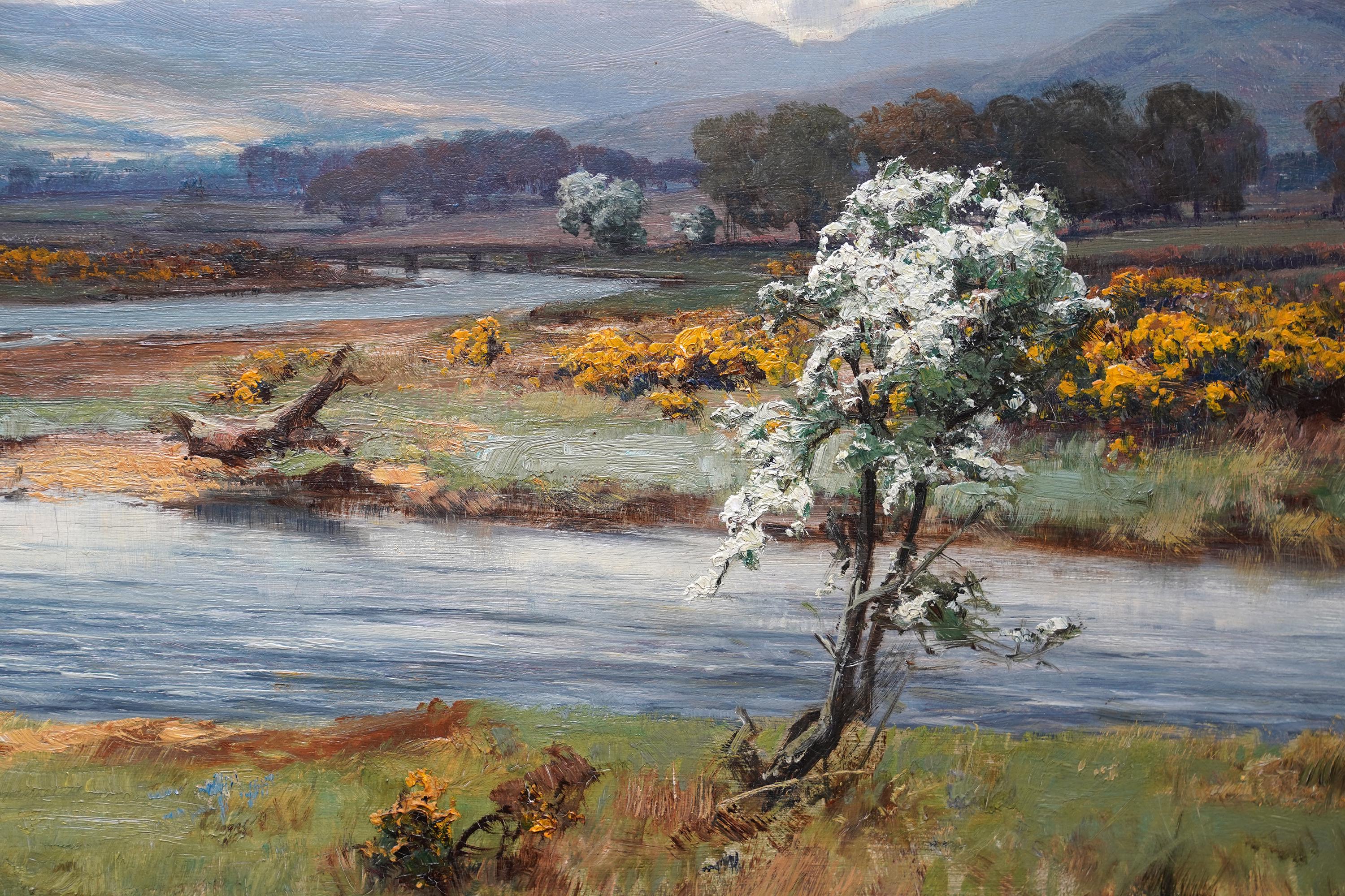 Mayday on the Annan – schottisches viktorianisches Kunstlandschaftsgemälde, Ölgemälde, Schottland im Angebot 2