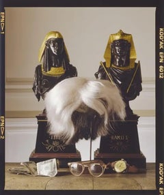 Andy Warhol's Wig, Glasses, Watch and Money by David Gamble - Ramses and Iris