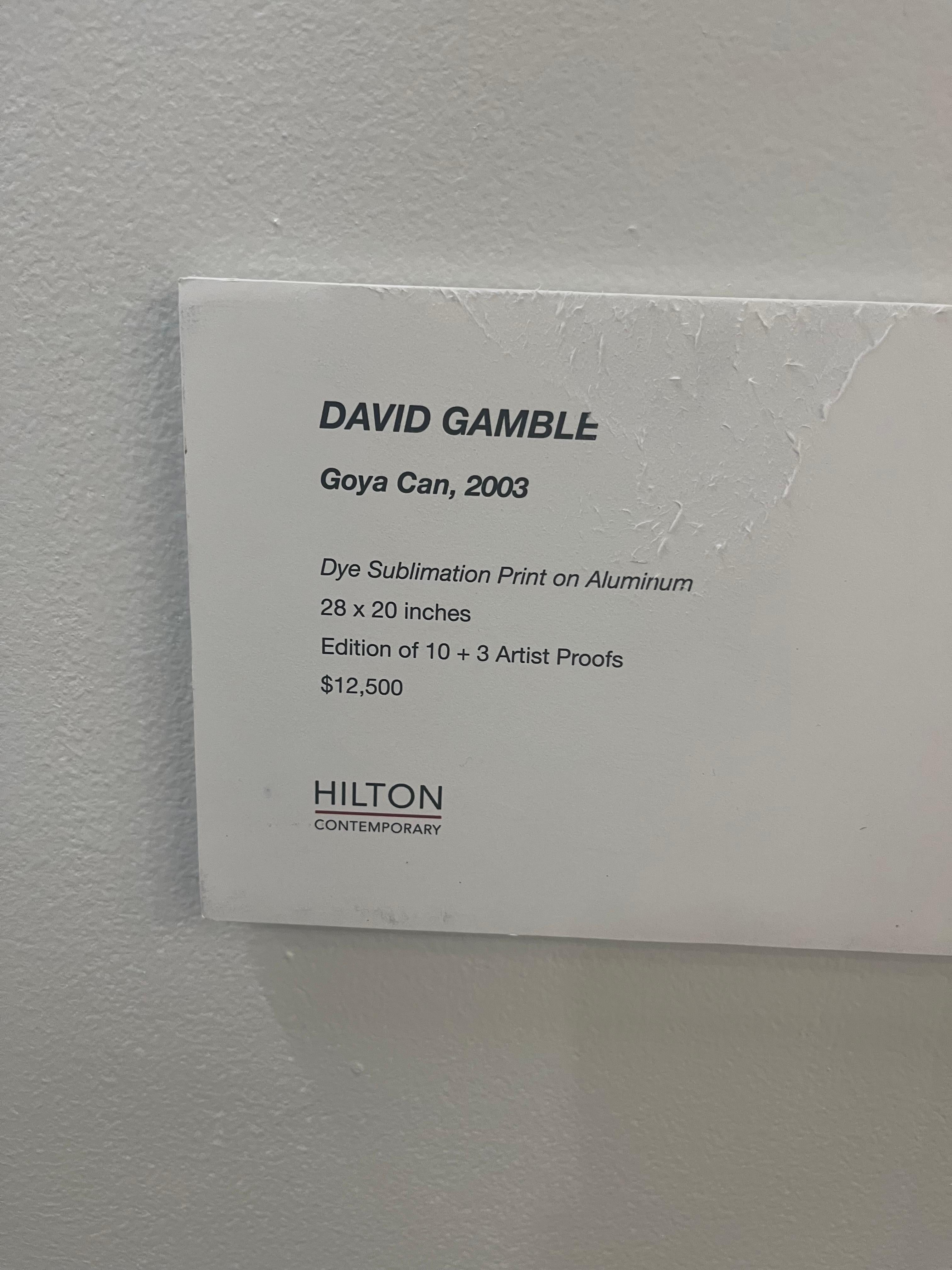 Schwarze Bohnen-Goya-Kanne von David Gamble im Angebot 2