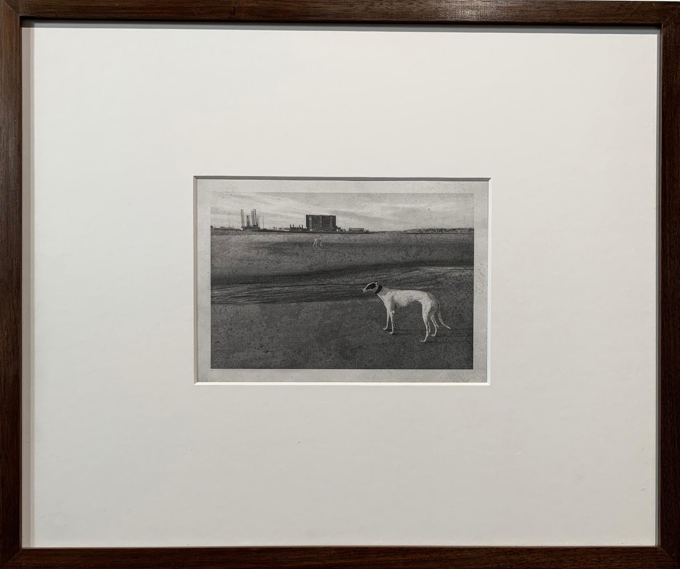 Hartlepool Power Station mit Elsie und Hector, Windhunde, England, gerahmt (Zeitgenössisch), Print, von David George