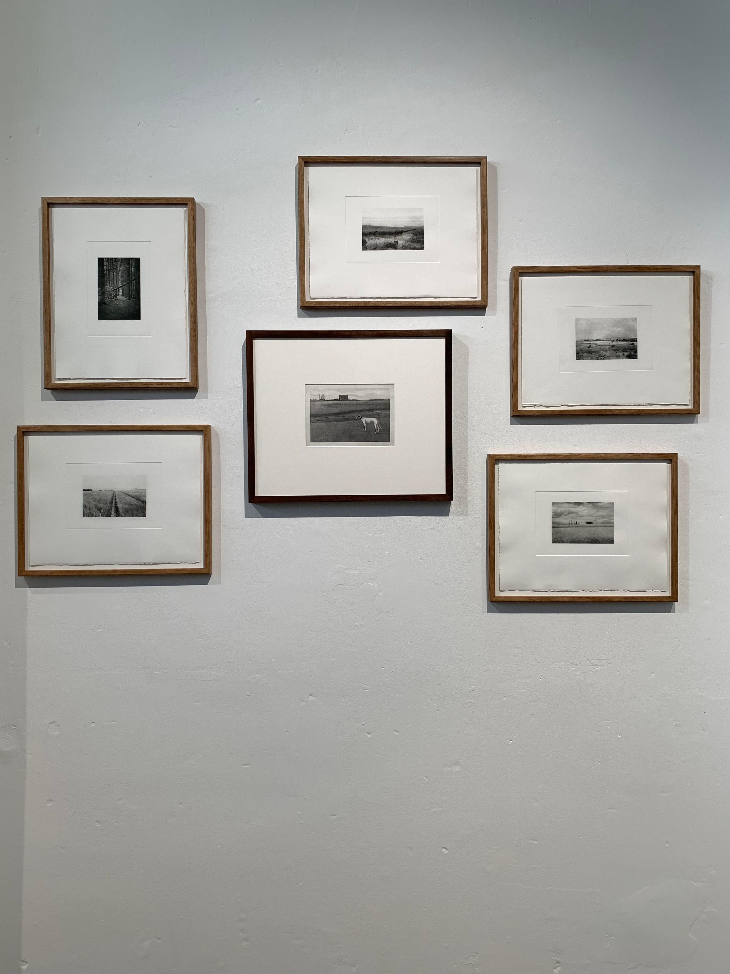Hartlepool Power Station mit Elsie und Hector, Windhunde, England, gerahmt (Schwarz), Landscape Print, von David George