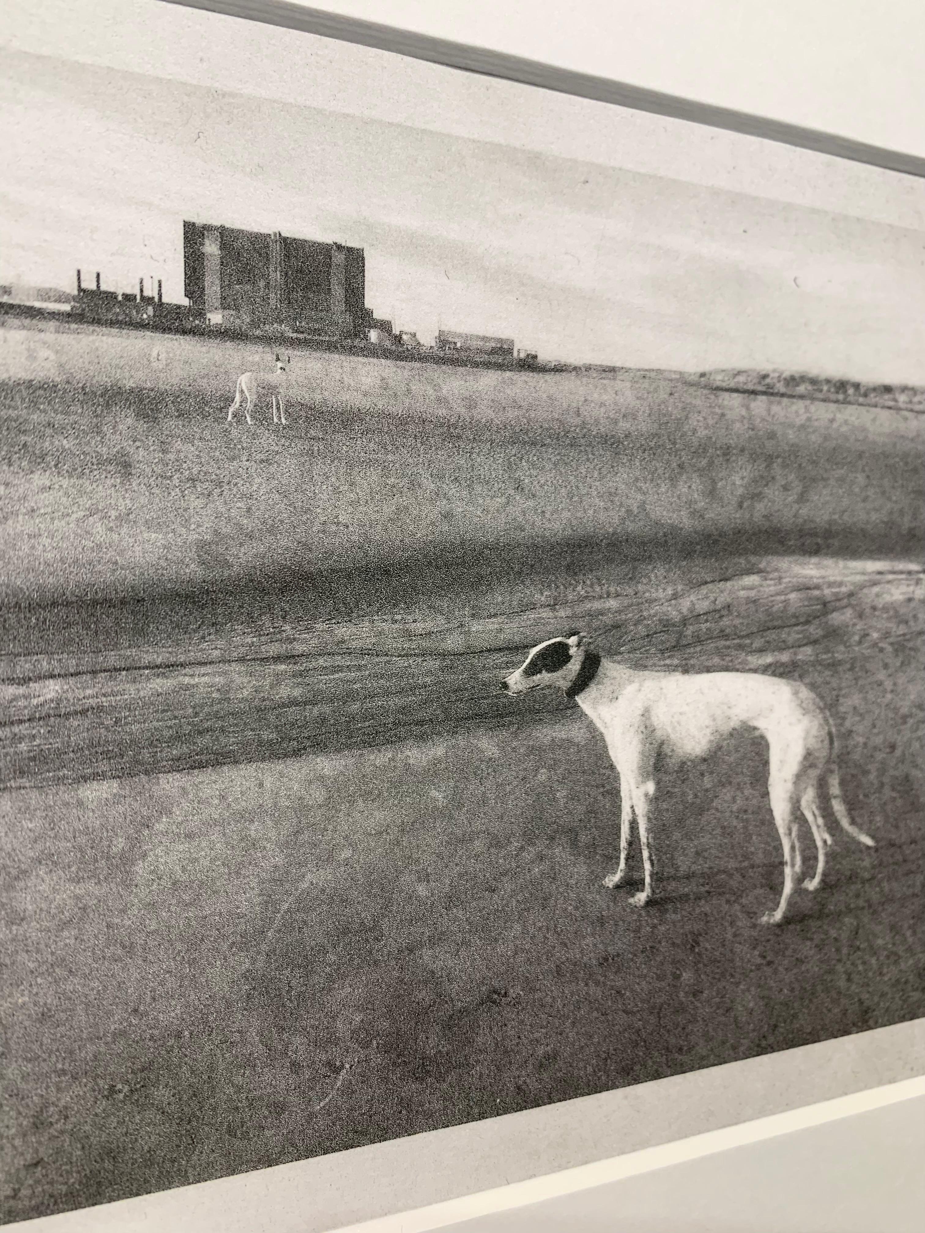 Hartlepool Power Station mit Elsie und Hector, Windhunde, England, gerahmt im Angebot 1