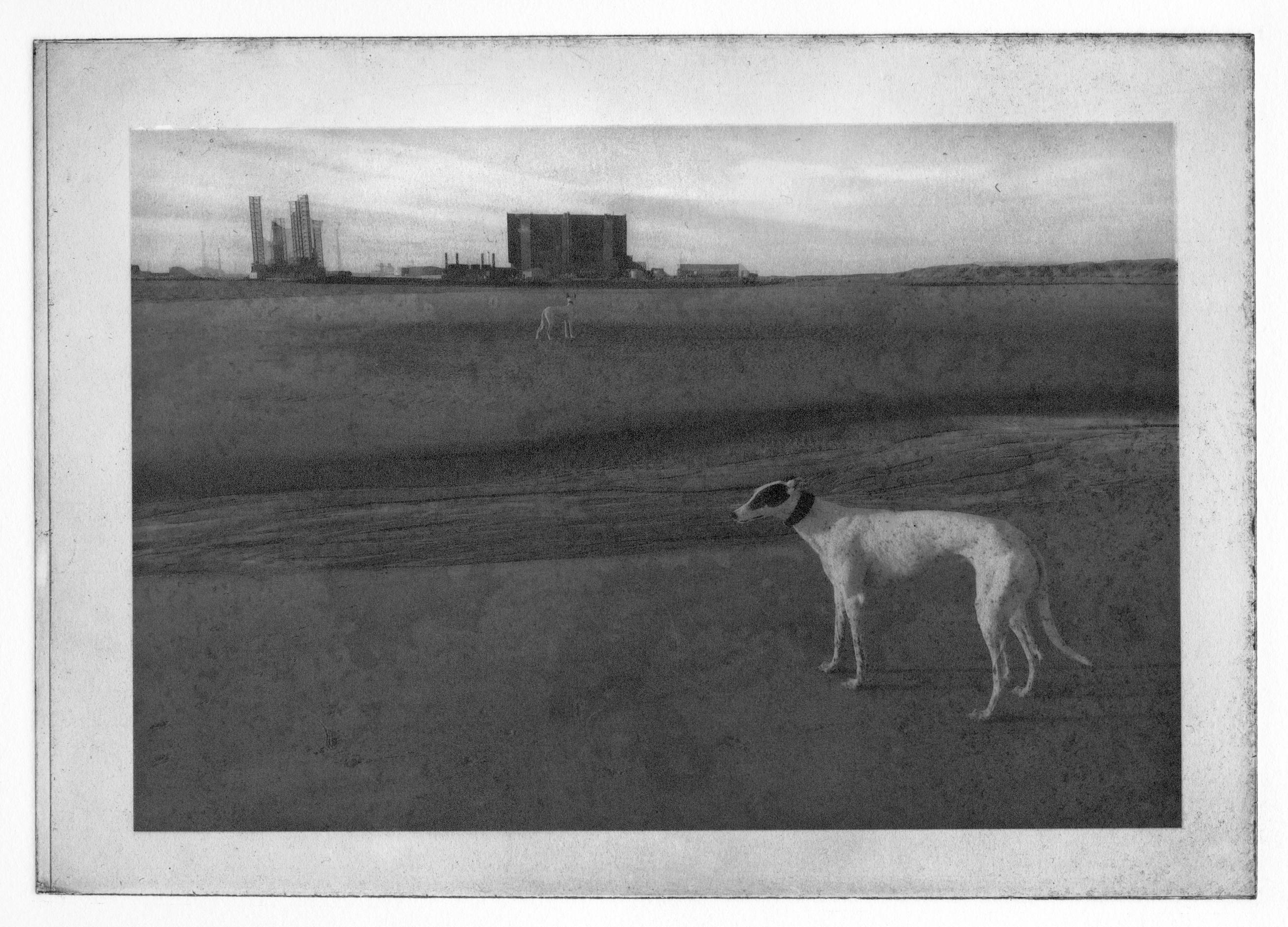 David George Landscape Print – Hartlepool Power Station mit Elsie und Hector, Windhunde, England, gerahmt
