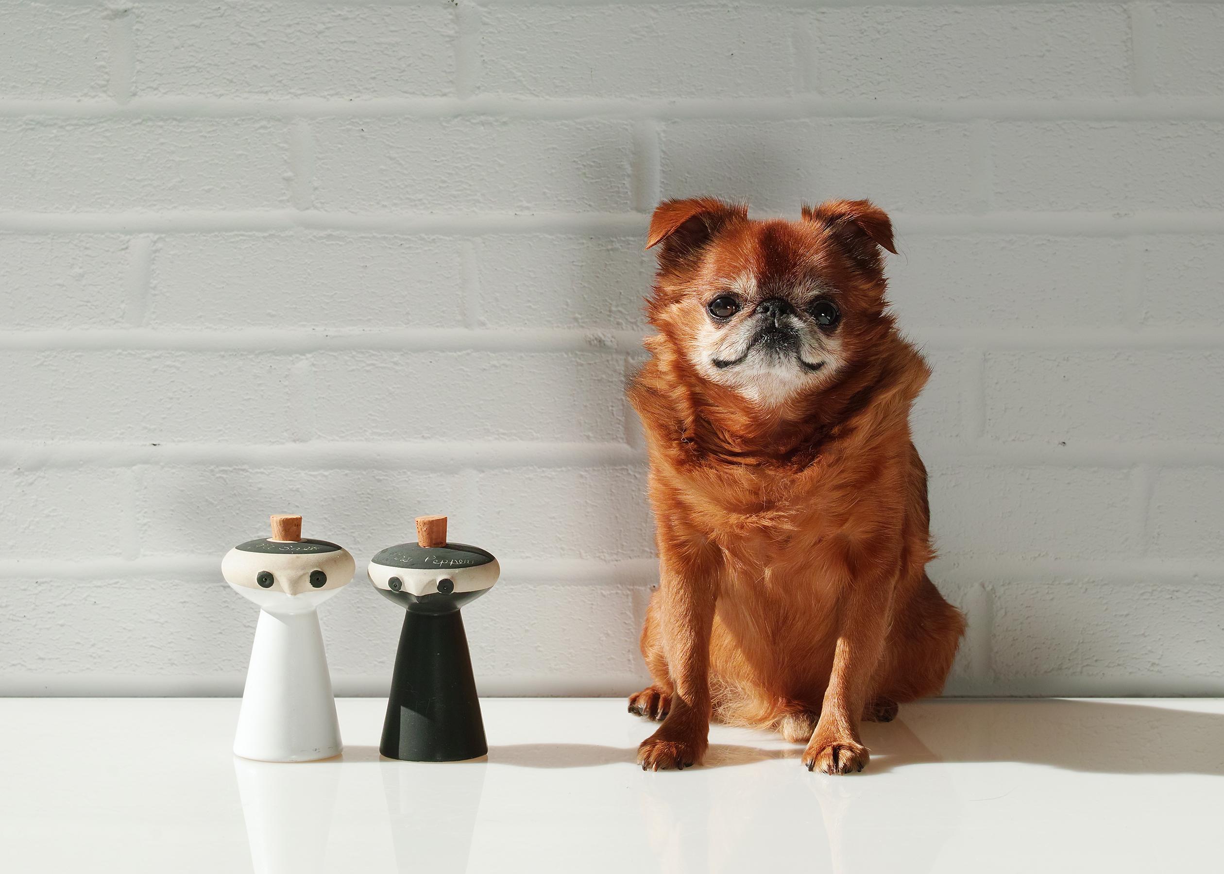 For your consideration is this pair of mid-century figural ceramic Mr. Salt and Mrs. Pepper shakers by David Gil for Bennington Potters. Cast in white clay with white and black glaze and with an etched 
