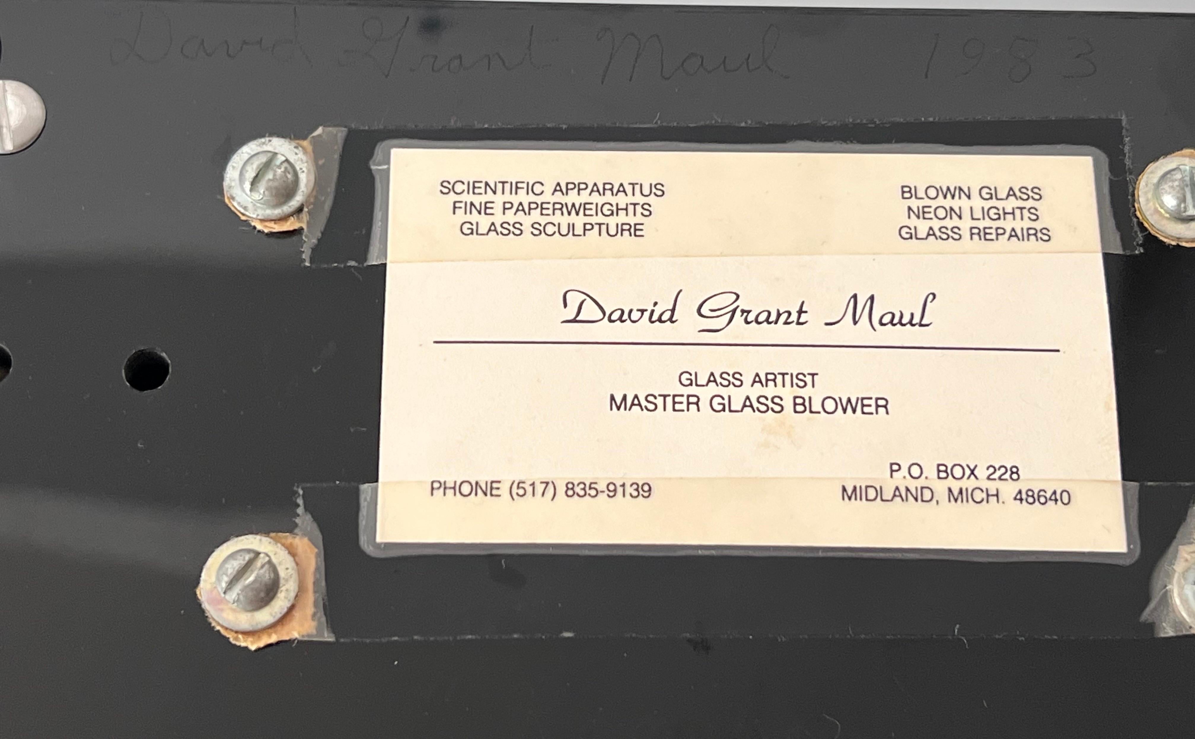 David Grant Maul Blown Glass Neon Lamp Sculpture, 1983 For Sale 6