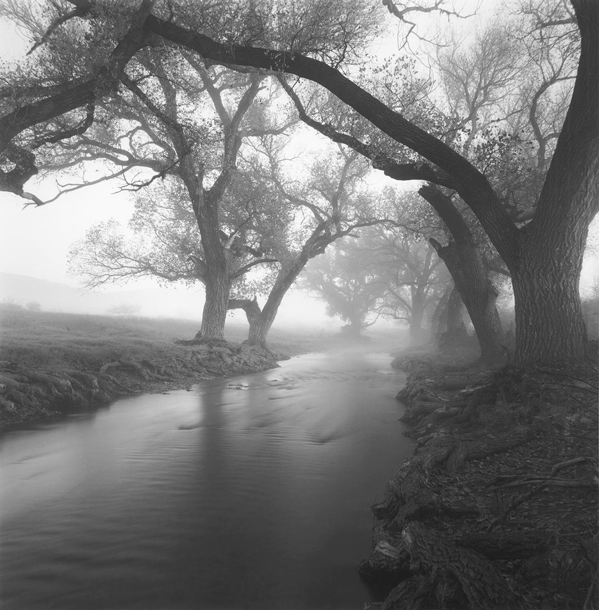 David H. Gibson Landscape Photograph - Branch Arch, Limpia Creek, Fort Davis, Texas