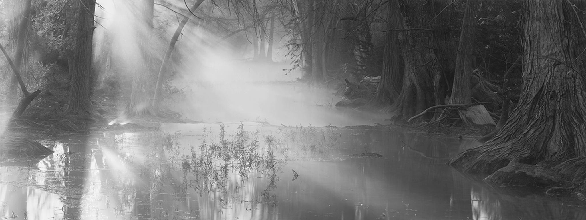 David H. Gibson Landscape Photograph - Cypress Creek, November 19, 2000, 7:32AM, Wimberley, Texas