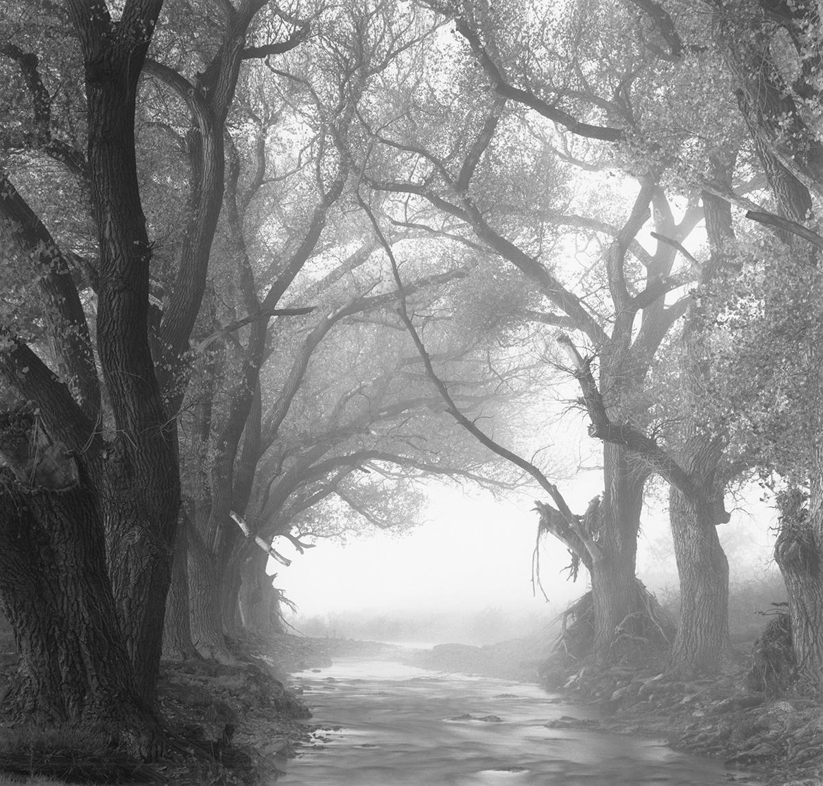 Landscape Photograph de David H. Gibson - Arroyo Limpia, Fort Davis, Texas