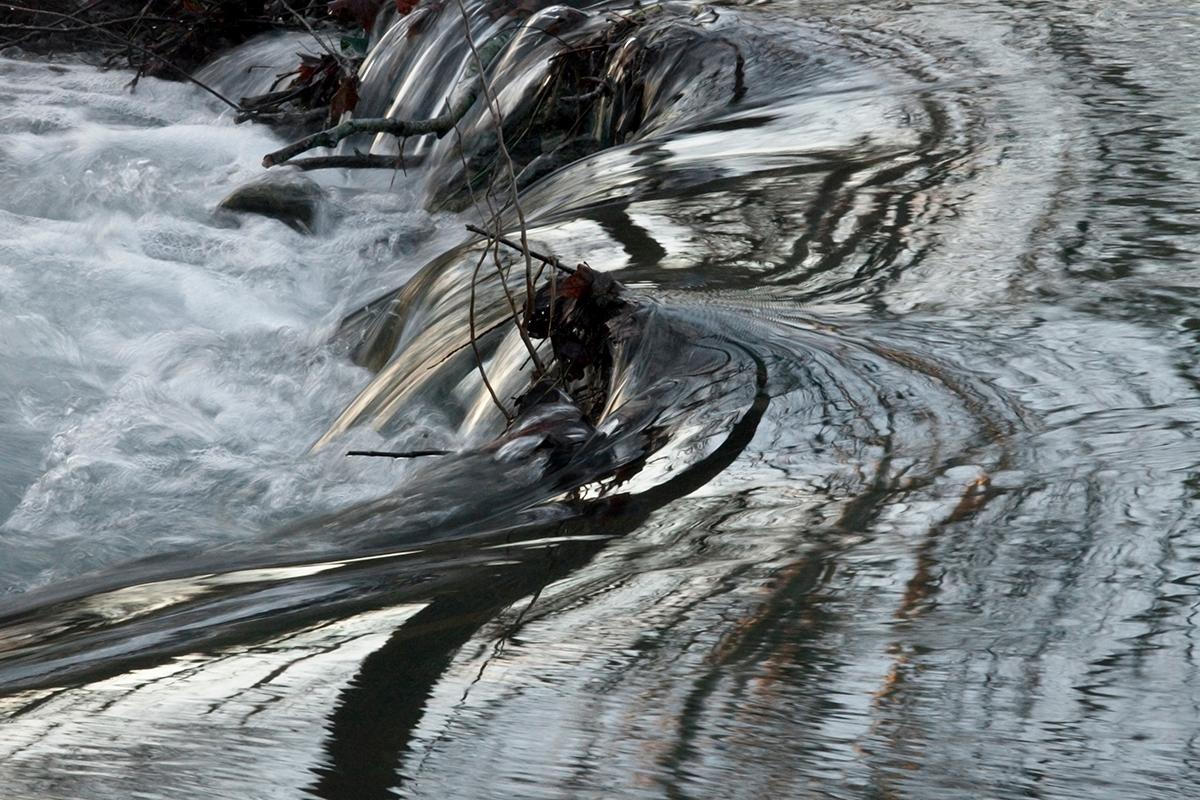 David H. Gibson Landscape Photograph - Morning Along Cypress Creek, January 30, 2010, 7:49 AM, Wimberley, Texas 