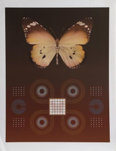 Butterfly Matrix II, Psychedelic Lithograph by David Haidle