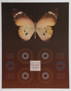 Butterfly Matrix II, Psychedelic Lithograph by David Haidle
