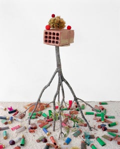 Brick, Chestnut, Shotgun Shells: Figurative Color Still Life Photograph 