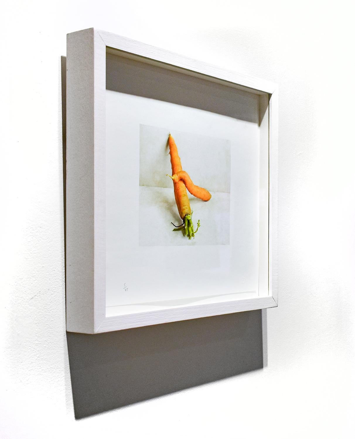 Zeitgenössische Farbfotografie eines Stilllebens mit orangefarbenen Karotten vor einer weißen Wand 
Karotten (Gegen die Wand), fotografiert von David Halliday 2007
archivpigmentdruck, Auflage 5/25
6.5 x 8 Zoll, ungerahmt 
14.5 x 16 Zoll in weiß