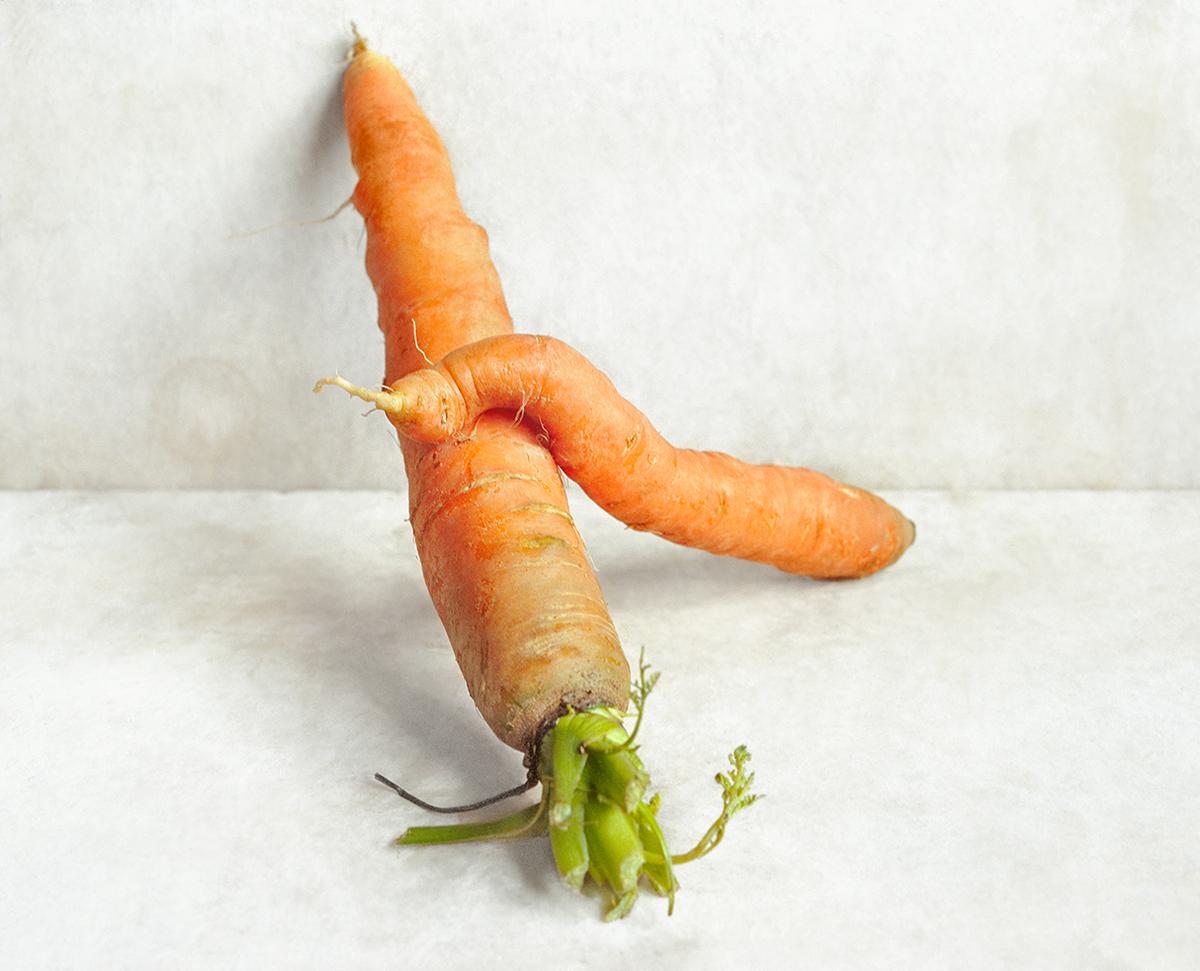 David Halliday Still-Life Photograph – Carrots (Against the Wall) gerahmte Farbstilllebenfotografie von Gemüse 