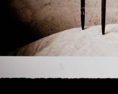 Ceremony Canes (Sepia Toned Still Life of 6 Canes from Tonga)