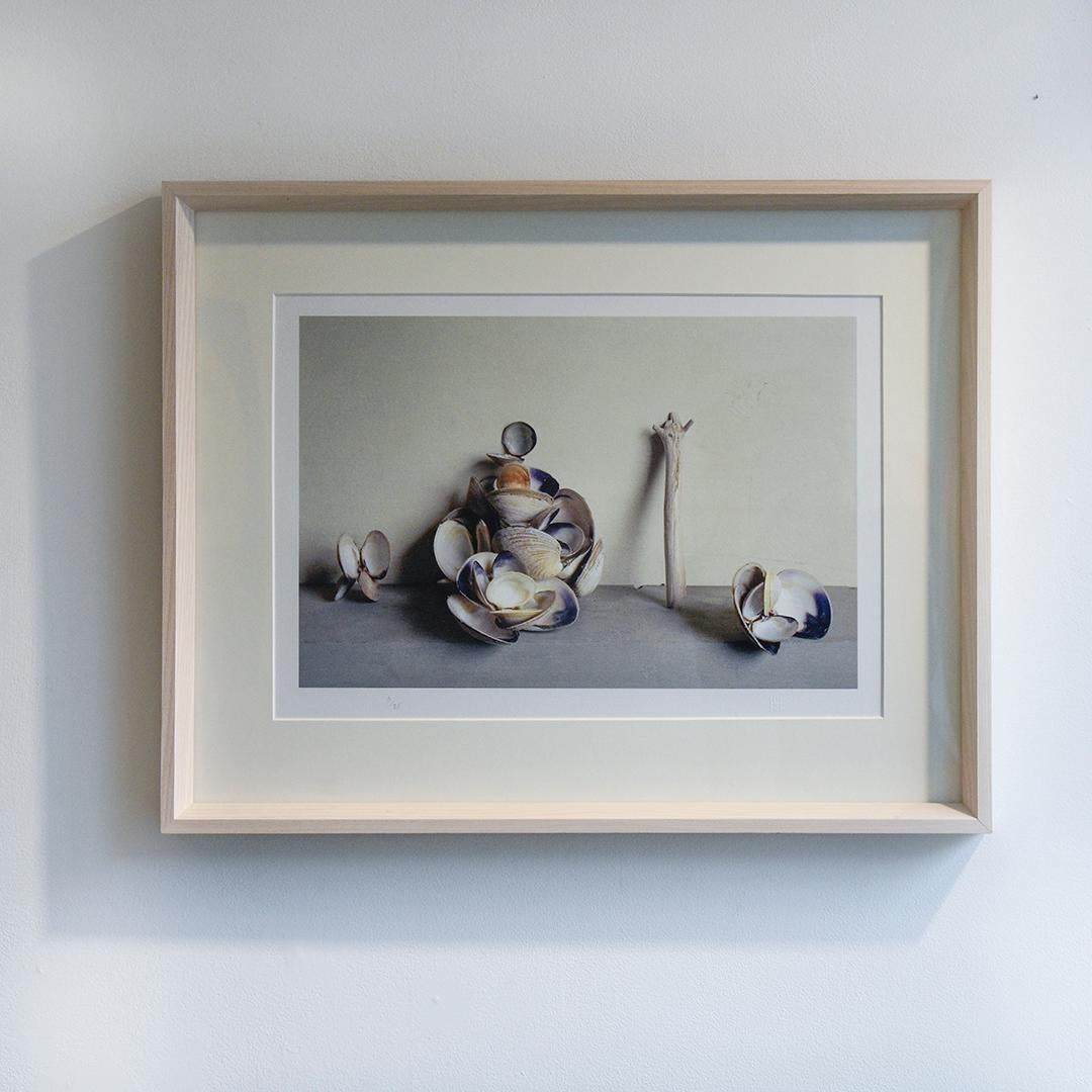 Muschelschalen (gerahmte Stilllebenfotografie von blauen/weißen Muscheln mit Treibholz) – Photograph von David Halliday