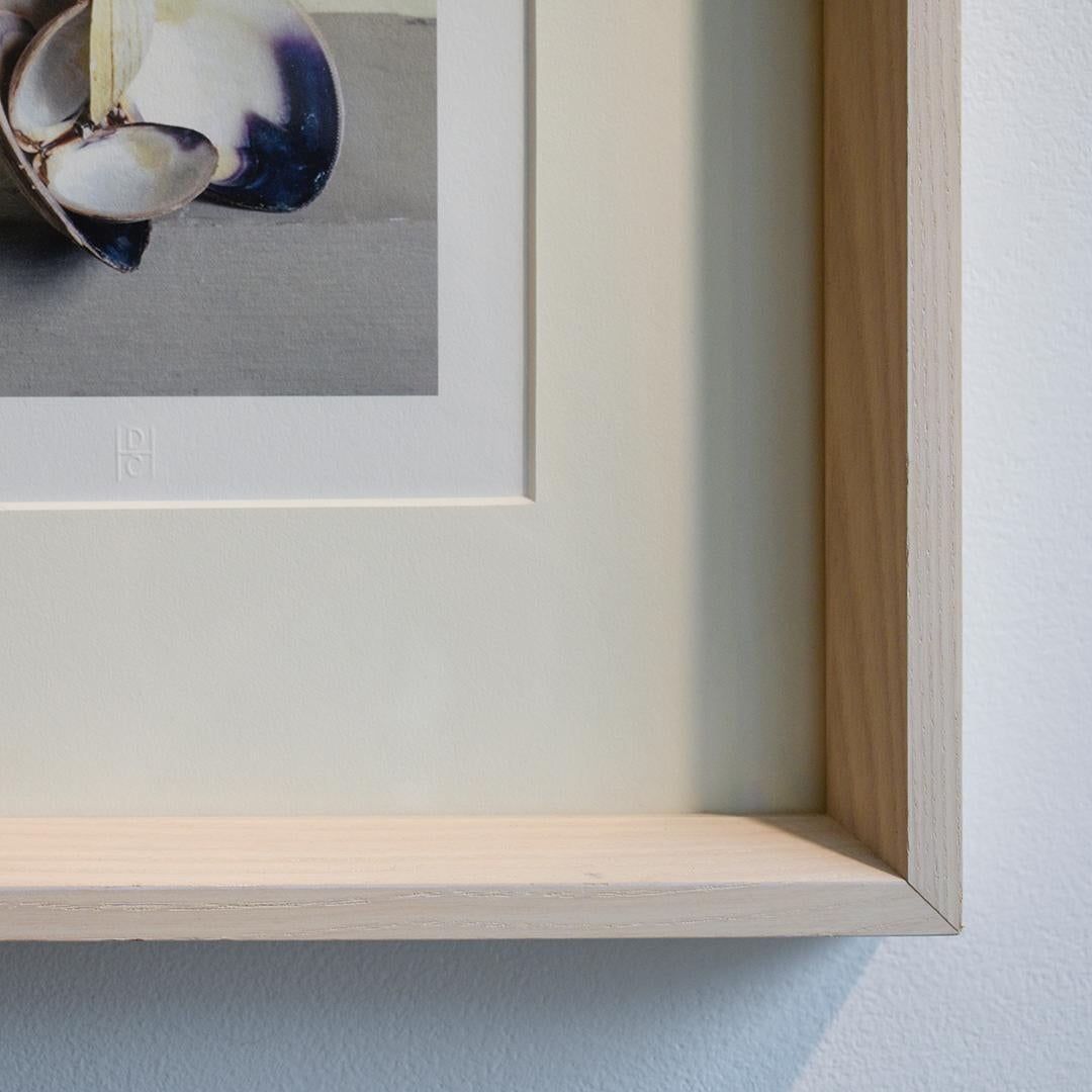 Clam Shells (Framed Still Life Photograph of Blue/White Shells with Drift Wood) For Sale 1