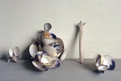 Coquillages de palourdes (Photographie de nature morte encadrée de coquillages bleus/blancs avec bois flotté)