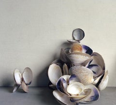 Clam Shells (Still Life Photograph of Purple & White Shells with Drift Wood)